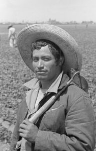 A bracero with a short-handled hoe over his shoulder stands in a California field.