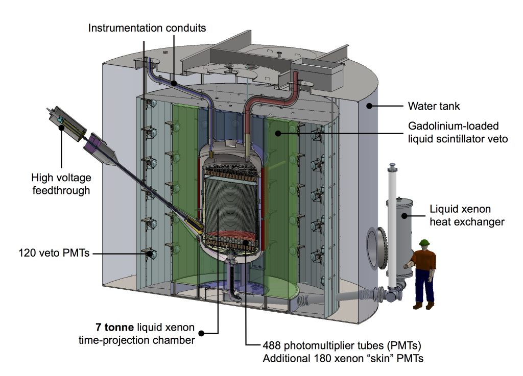 A 3D rendering of the detector