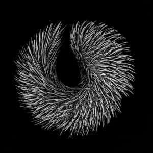 electron microscope scan of a mollusk covered in spines and hooks