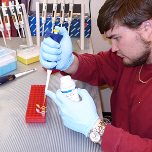 a student working in a biology lab