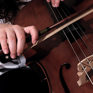 a musician playing a string instrument
