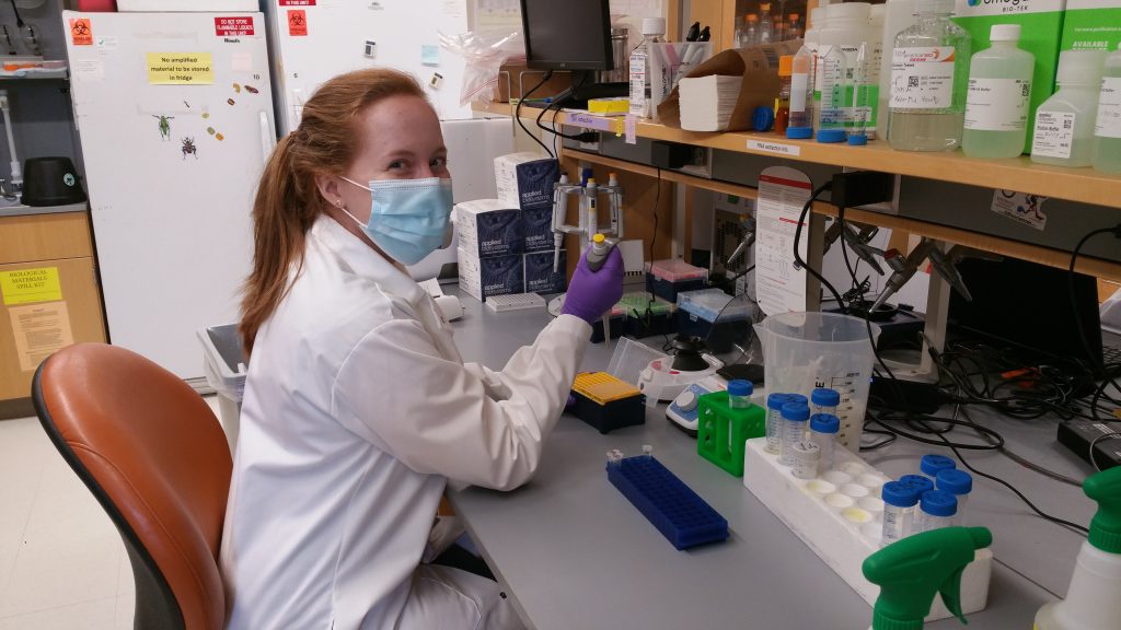 Anne working in the lab