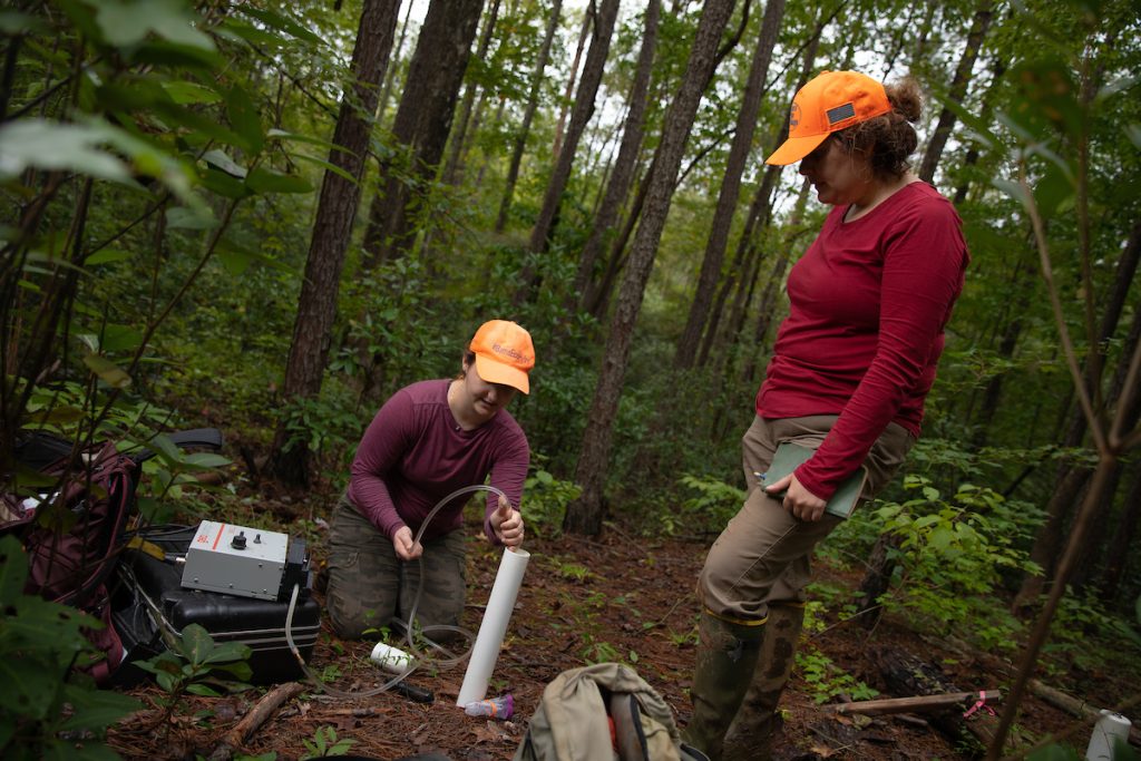 two researchers collecting groundwater samples in a wooded area