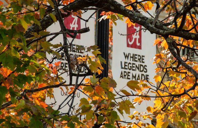 autumn leaves by a lamp post banner that reads Where Legends Are Made