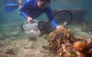 Dr. Kenneth Hoadley inspects coral on a recent dive