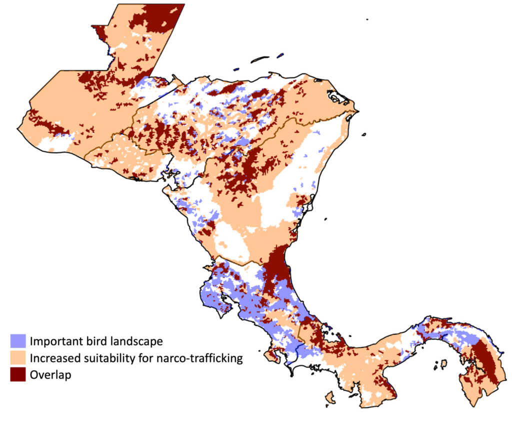 map of Central America visualizing the impact of narco-trafficking on bird landscapes